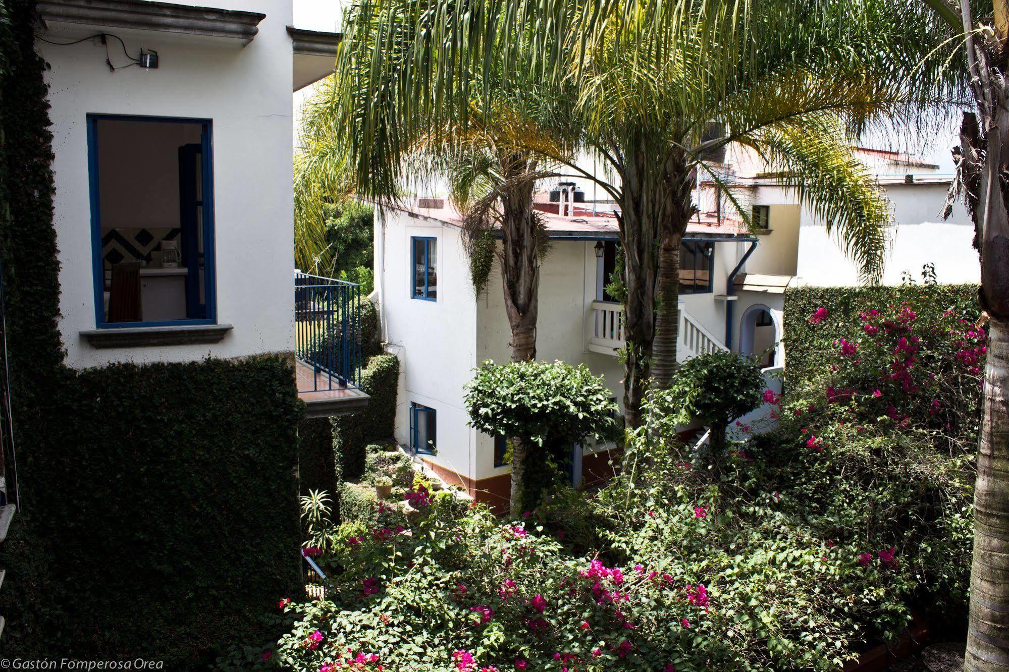 Posada Del Cafeto Hotel Xalapa Exterior photo